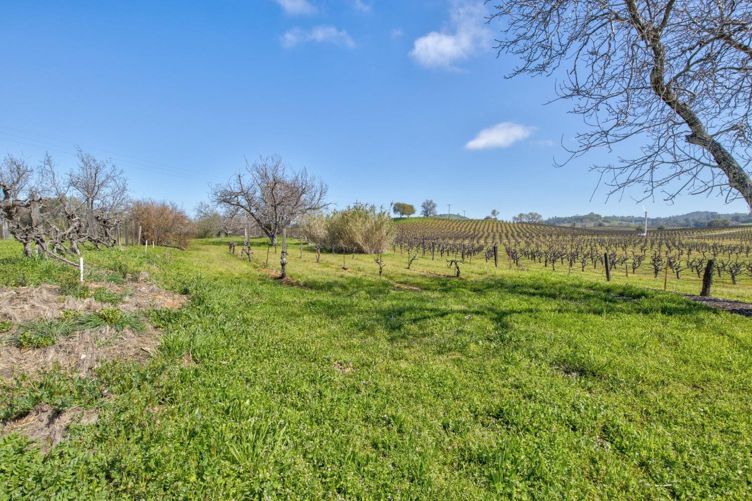 Detail Gallery Image 40 of 87 For 20865 Shenandoah School Rd, Plymouth,  CA 95669 - 5 Beds | 1 Baths