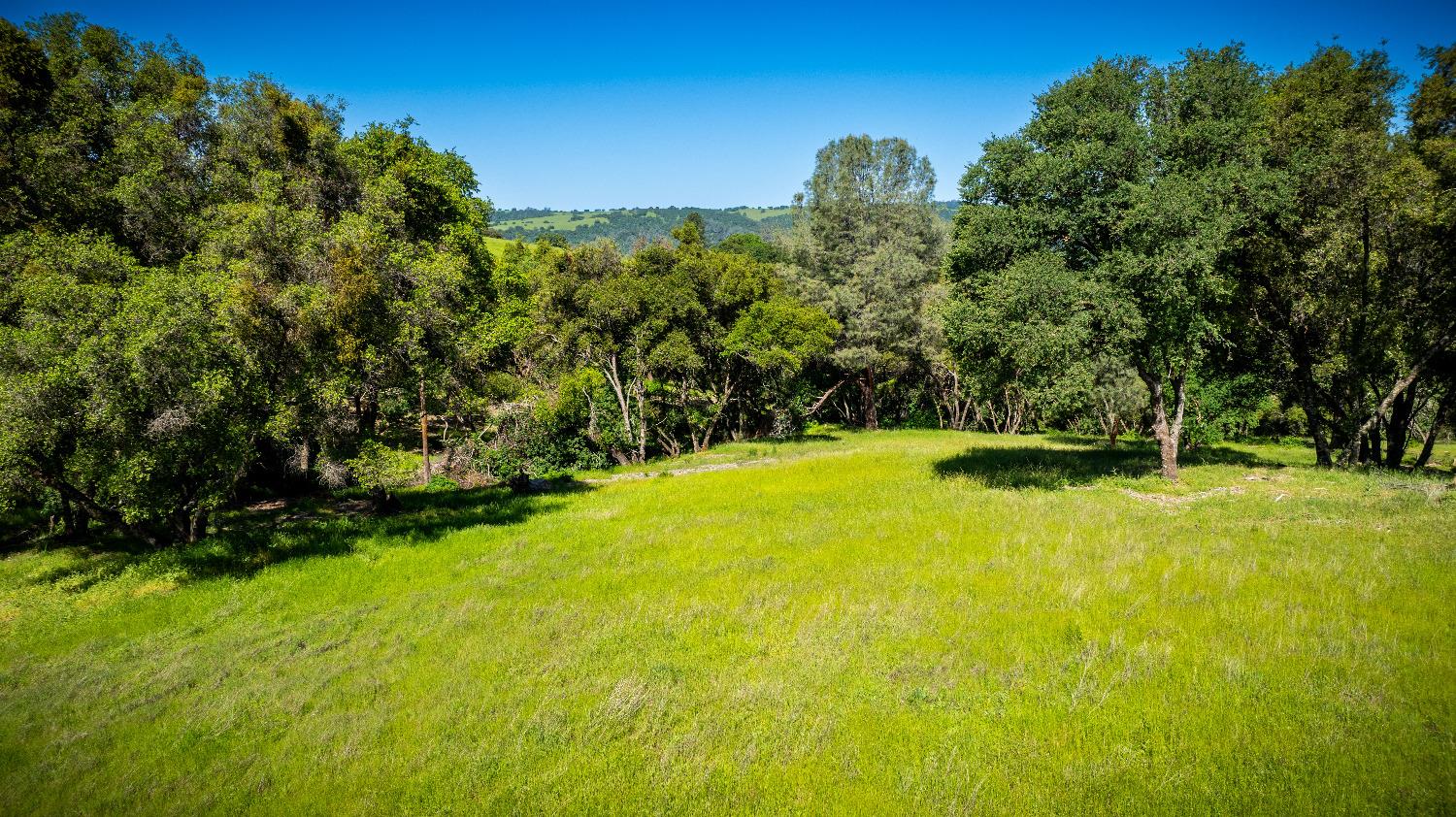 Sunshine Lane, Mokelumne Hill, California image 20