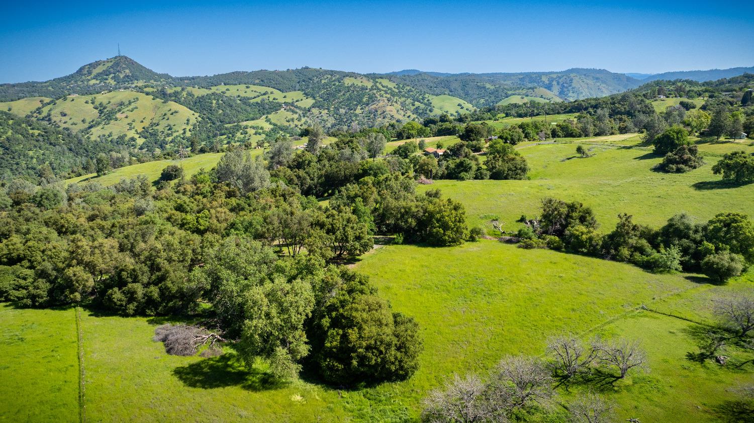 Sunshine Lane, Mokelumne Hill, California image 7