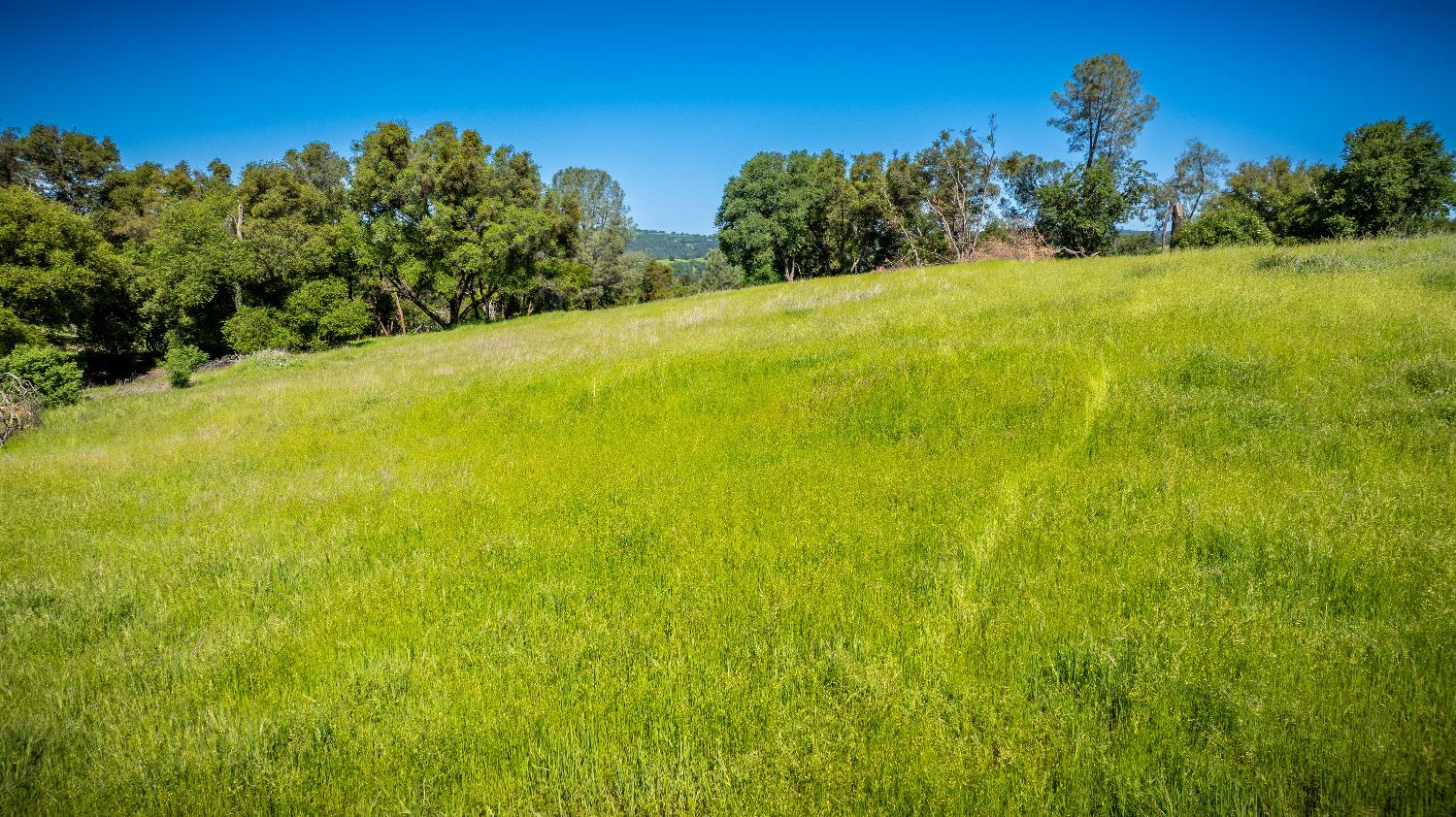 Sunshine Lane, Mokelumne Hill, California image 37