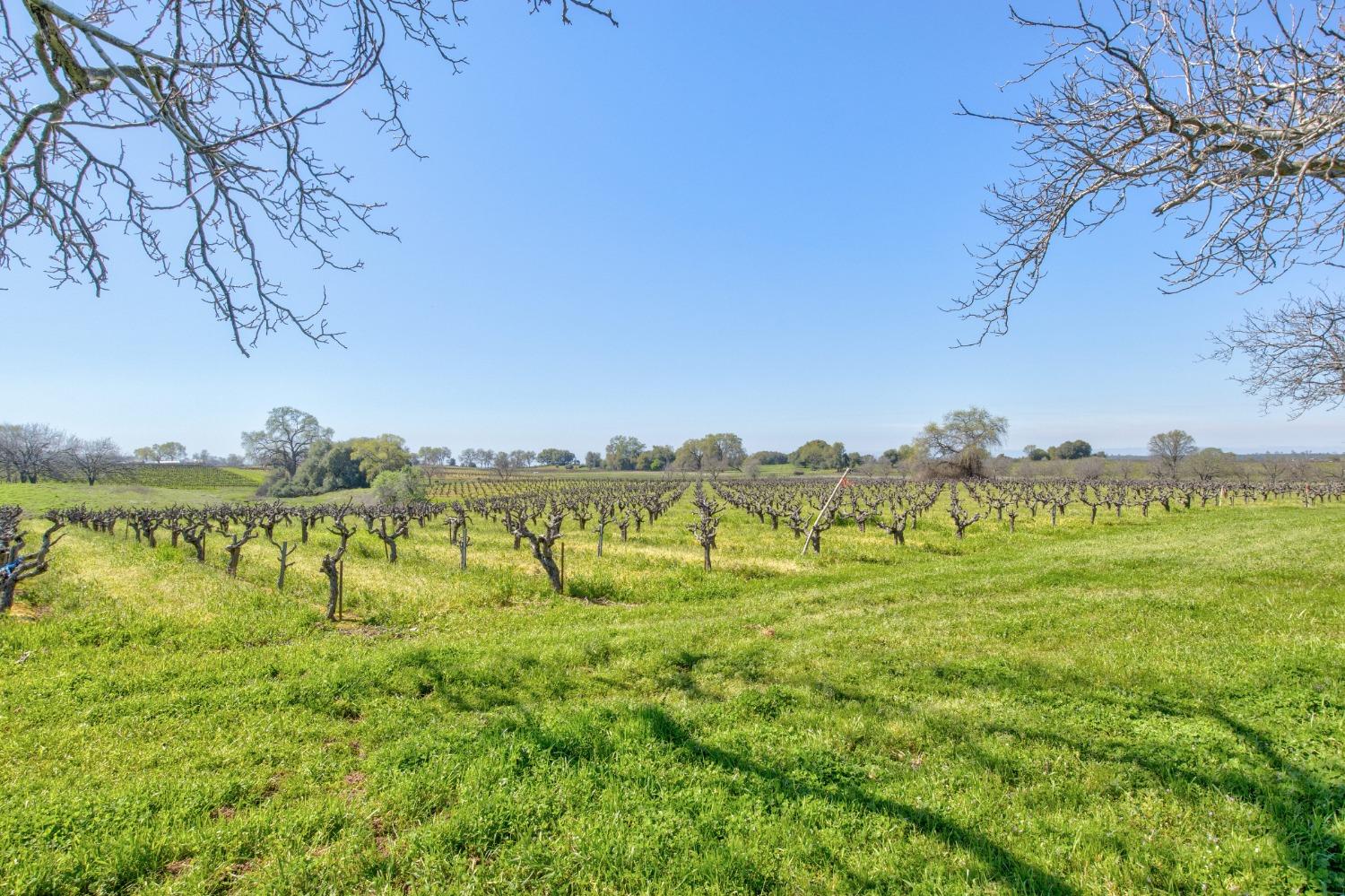 Detail Gallery Image 59 of 87 For 20865 Shenandoah School Rd, Plymouth,  CA 95669 - 5 Beds | 1 Baths