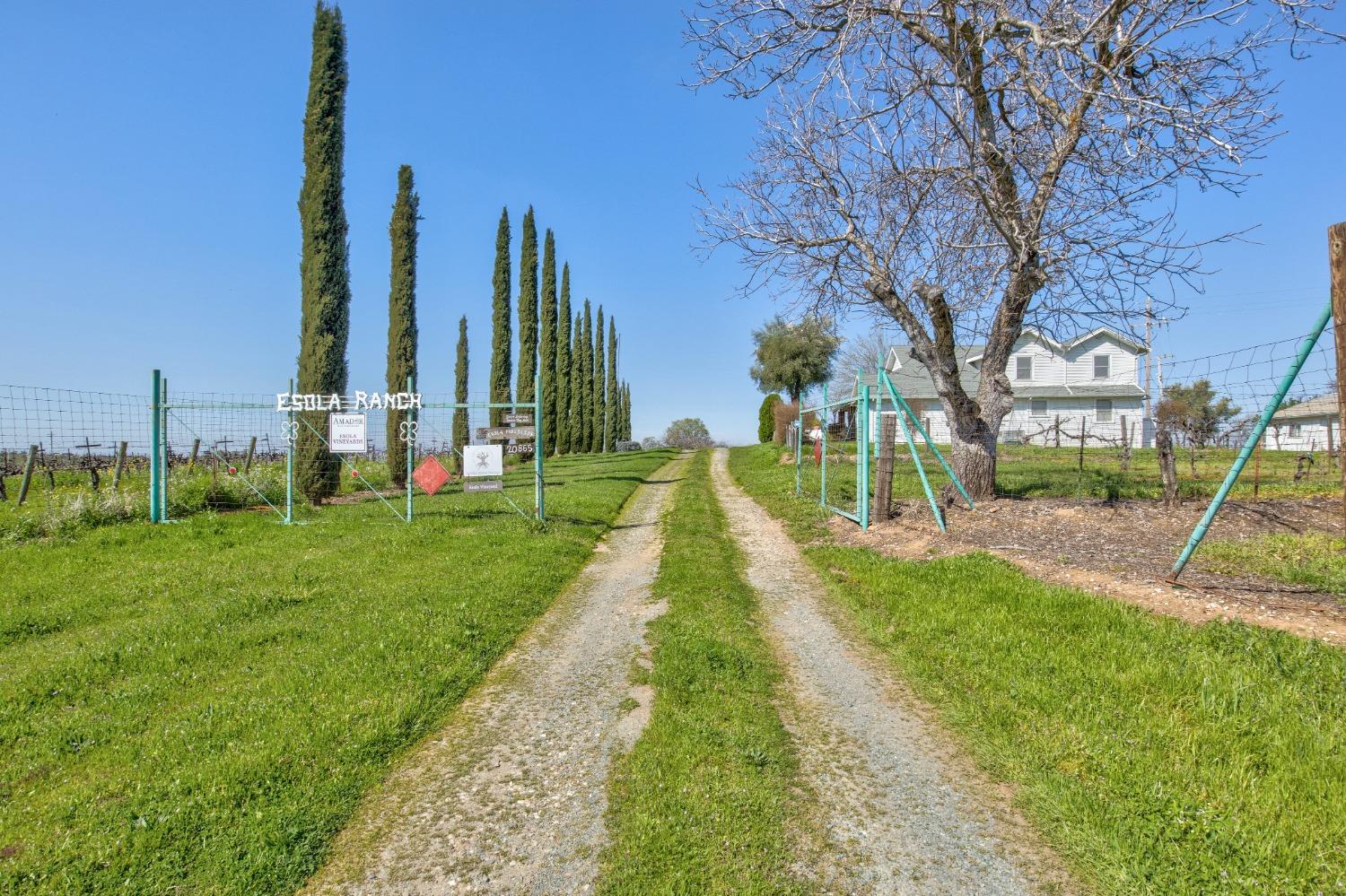 Detail Gallery Image 39 of 87 For 20865 Shenandoah School Rd, Plymouth,  CA 95669 - 5 Beds | 1 Baths