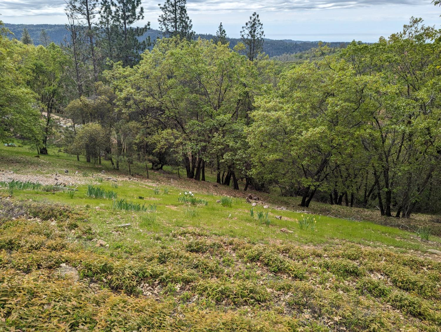 Longridge Court, Foresthill, California image 23