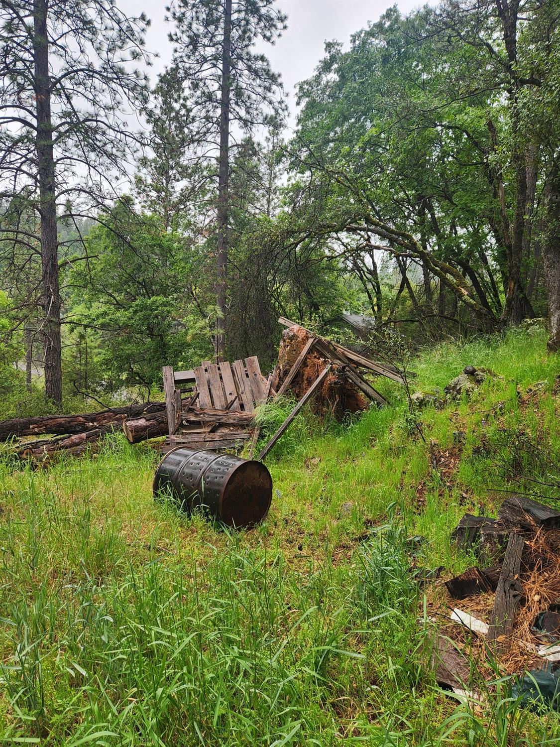 Patricia Way, Grass Valley, California image 8