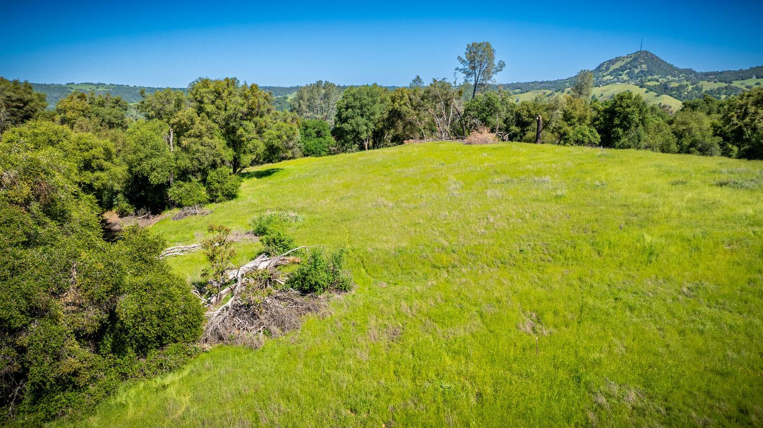 Sunshine Lane, Mokelumne Hill, California image 30