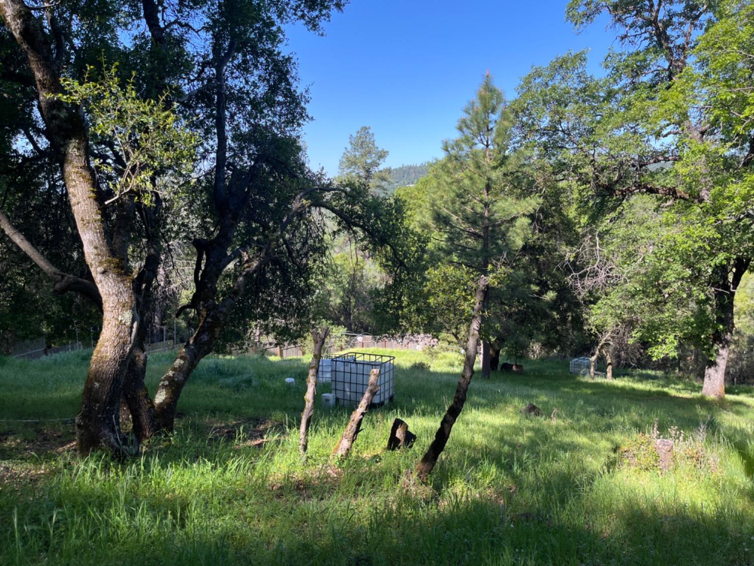 Moroni Lane, Grass Valley, California image 26