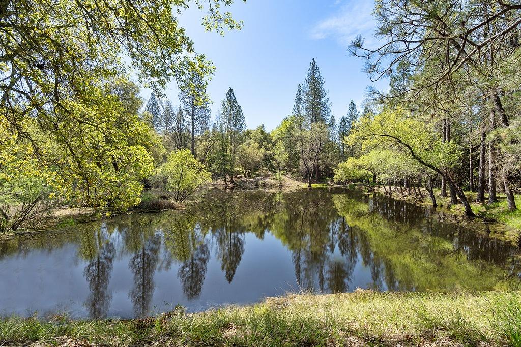 Horseshoe Bend Road, Somerset, California image 5
