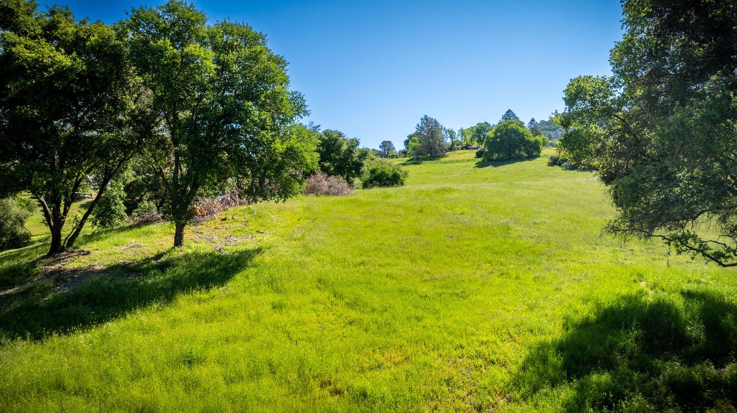 Sunshine Lane, Mokelumne Hill, California image 26