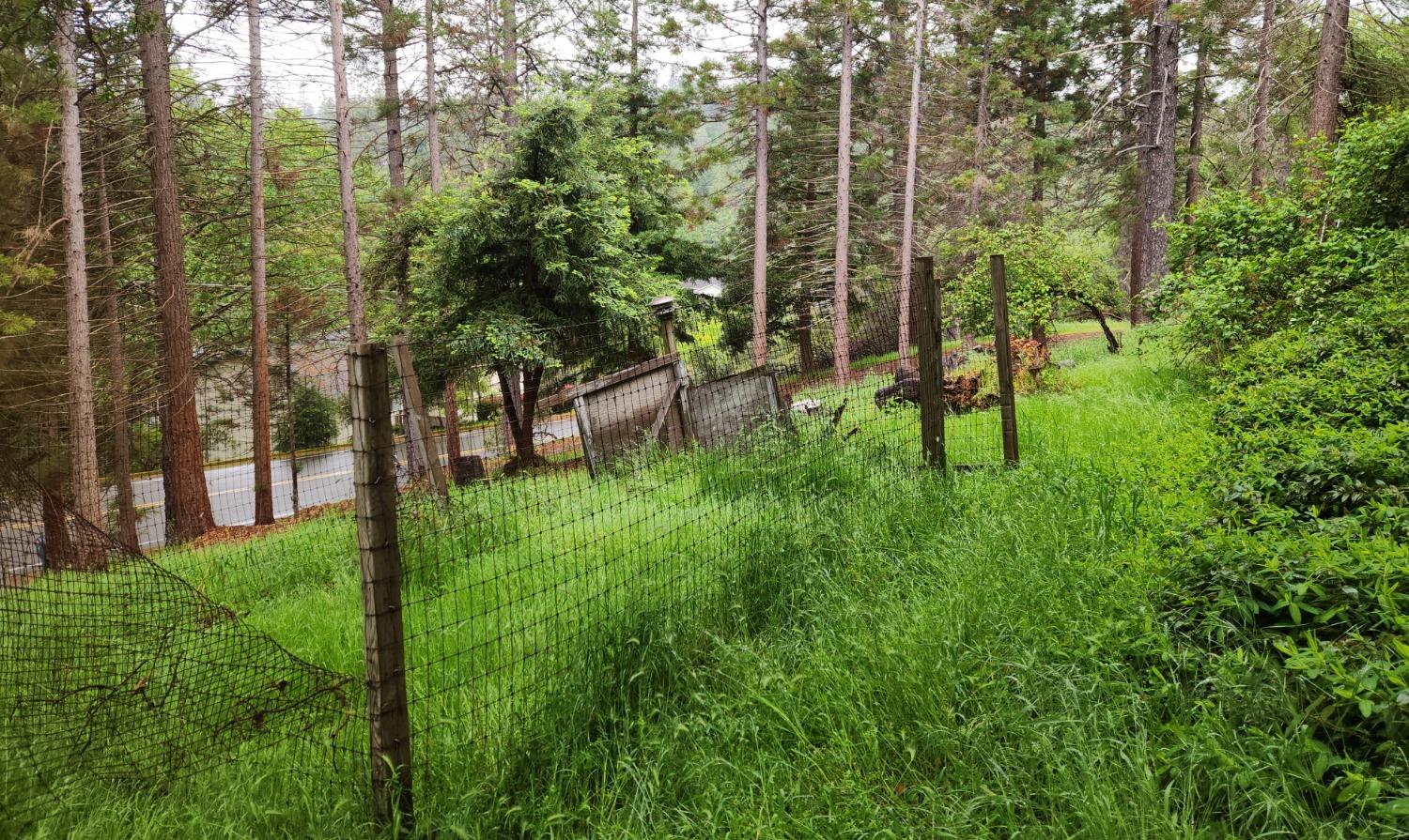 Patricia Way, Grass Valley, California image 29