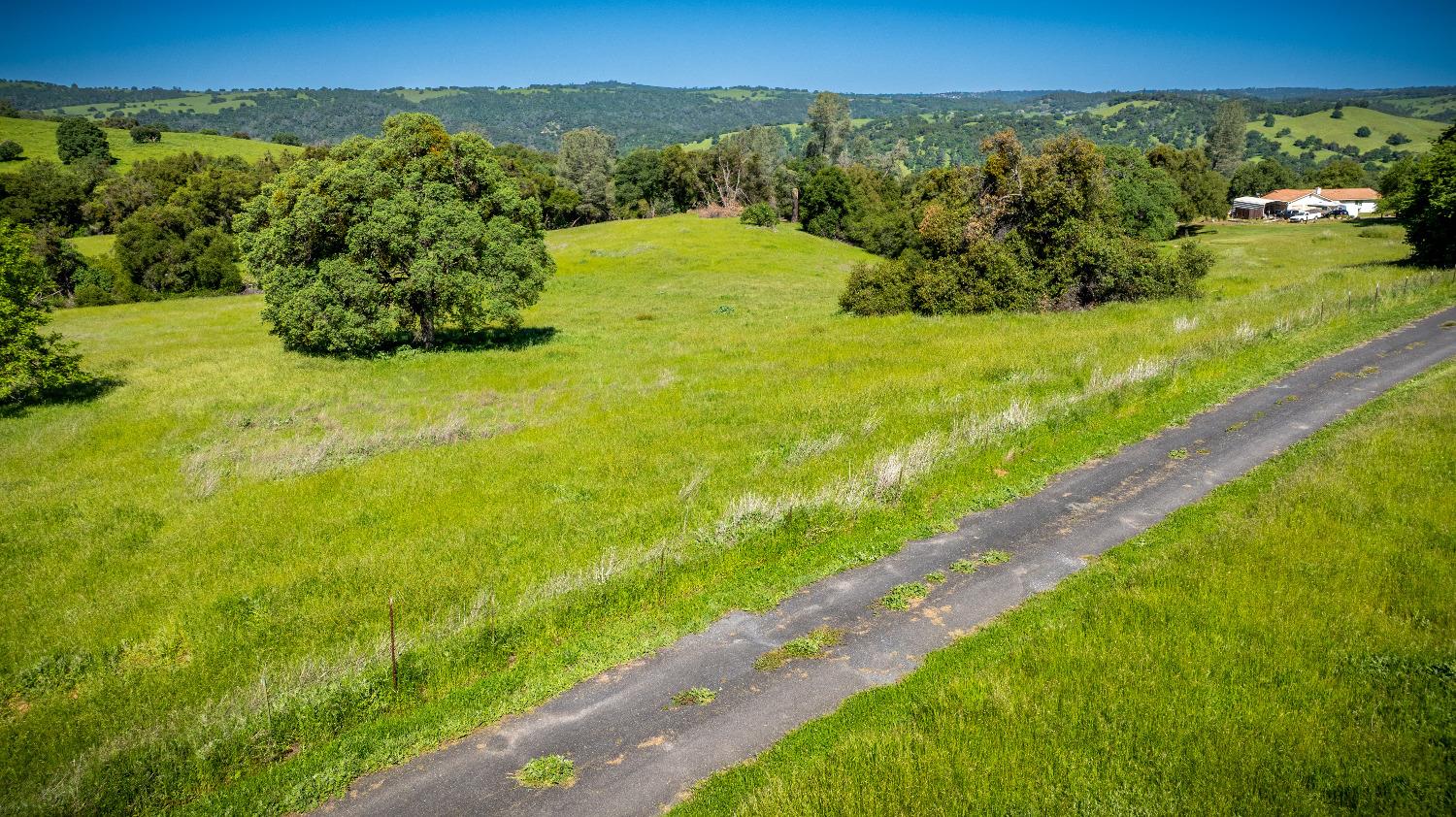 Sunshine Lane, Mokelumne Hill, California image 38