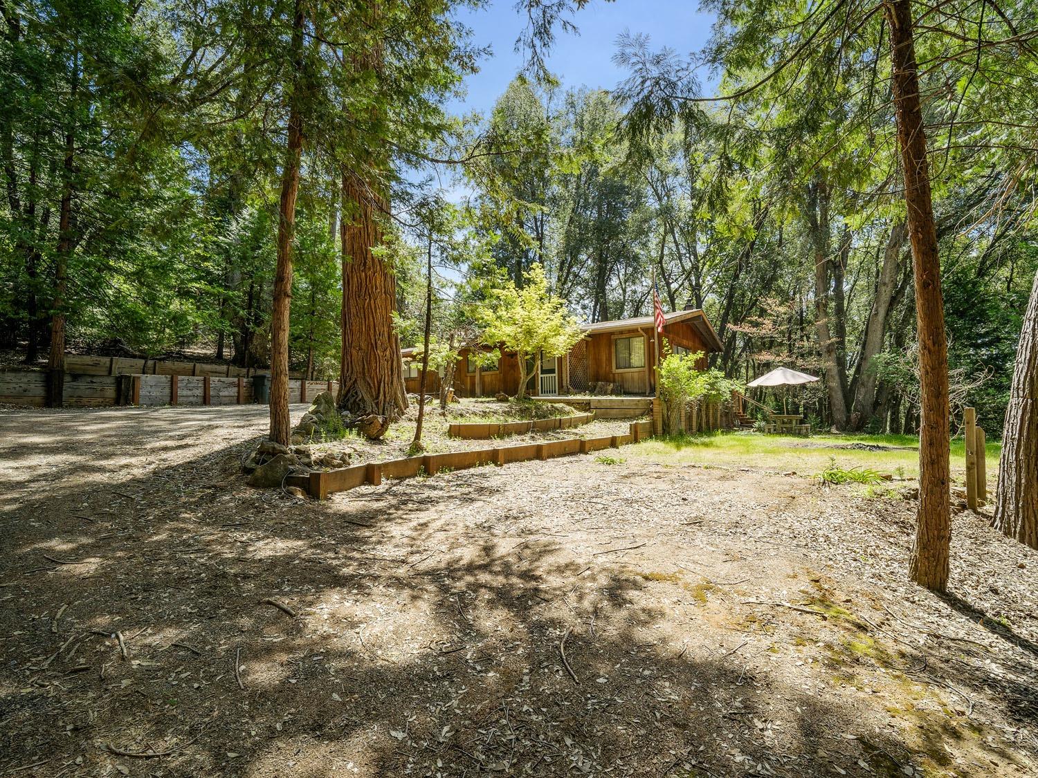 Van De Hei Ranch Road, Pioneer, California image 17
