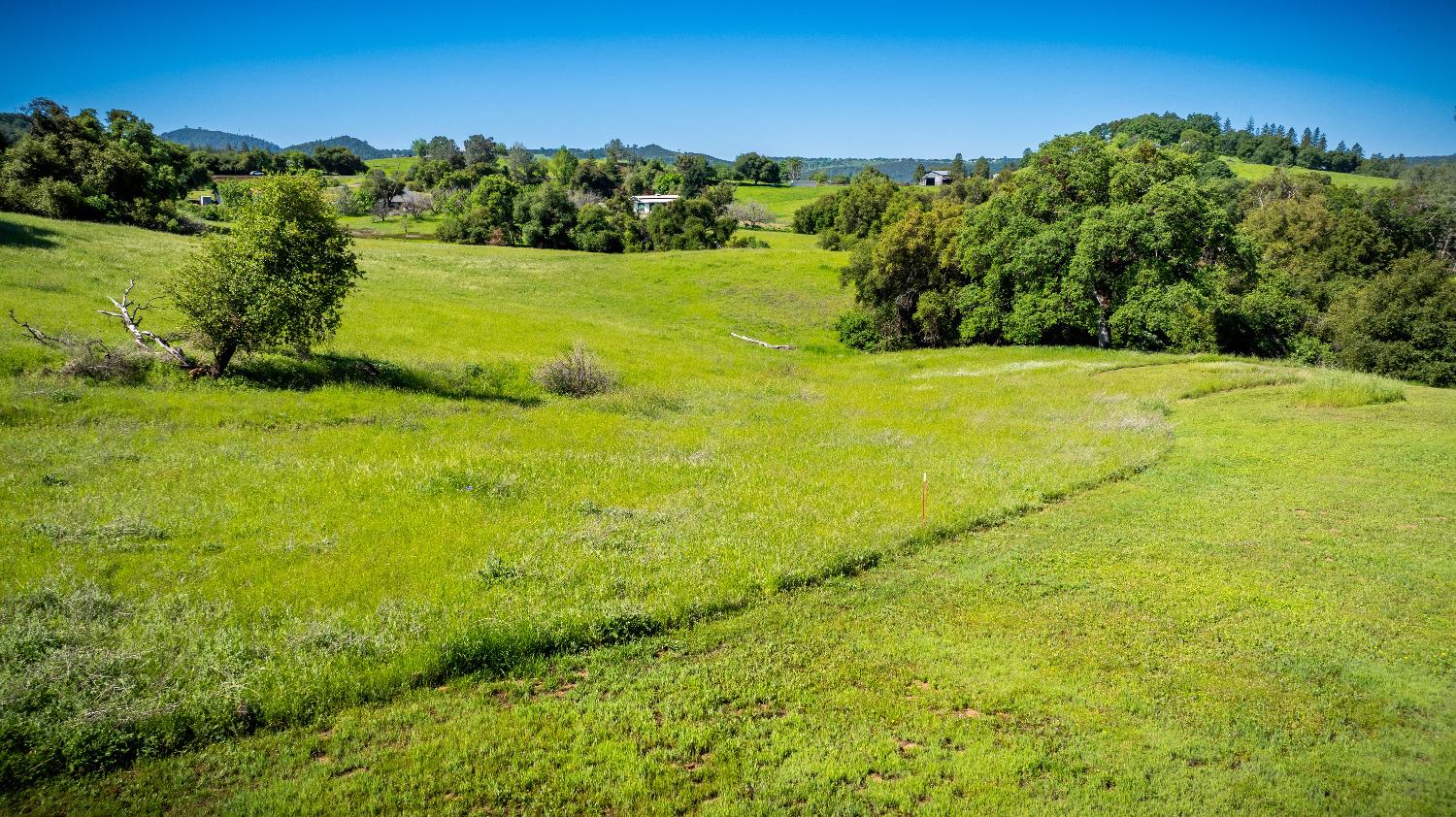 Sunshine Lane, Mokelumne Hill, California image 14