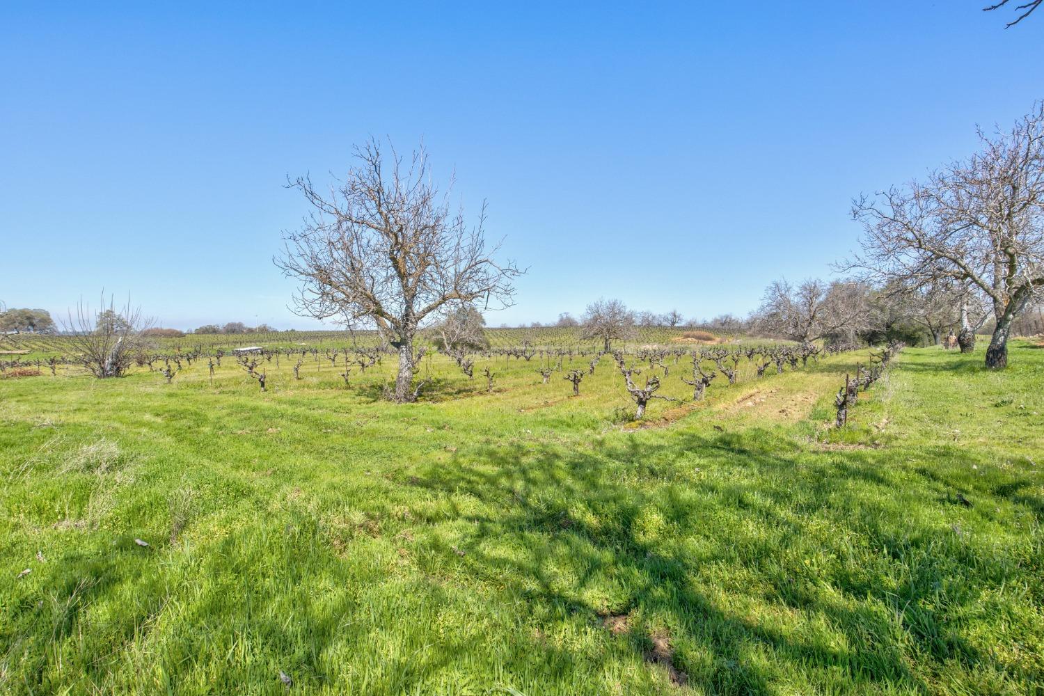 Detail Gallery Image 48 of 87 For 20865 Shenandoah School Rd, Plymouth,  CA 95669 - 5 Beds | 1 Baths