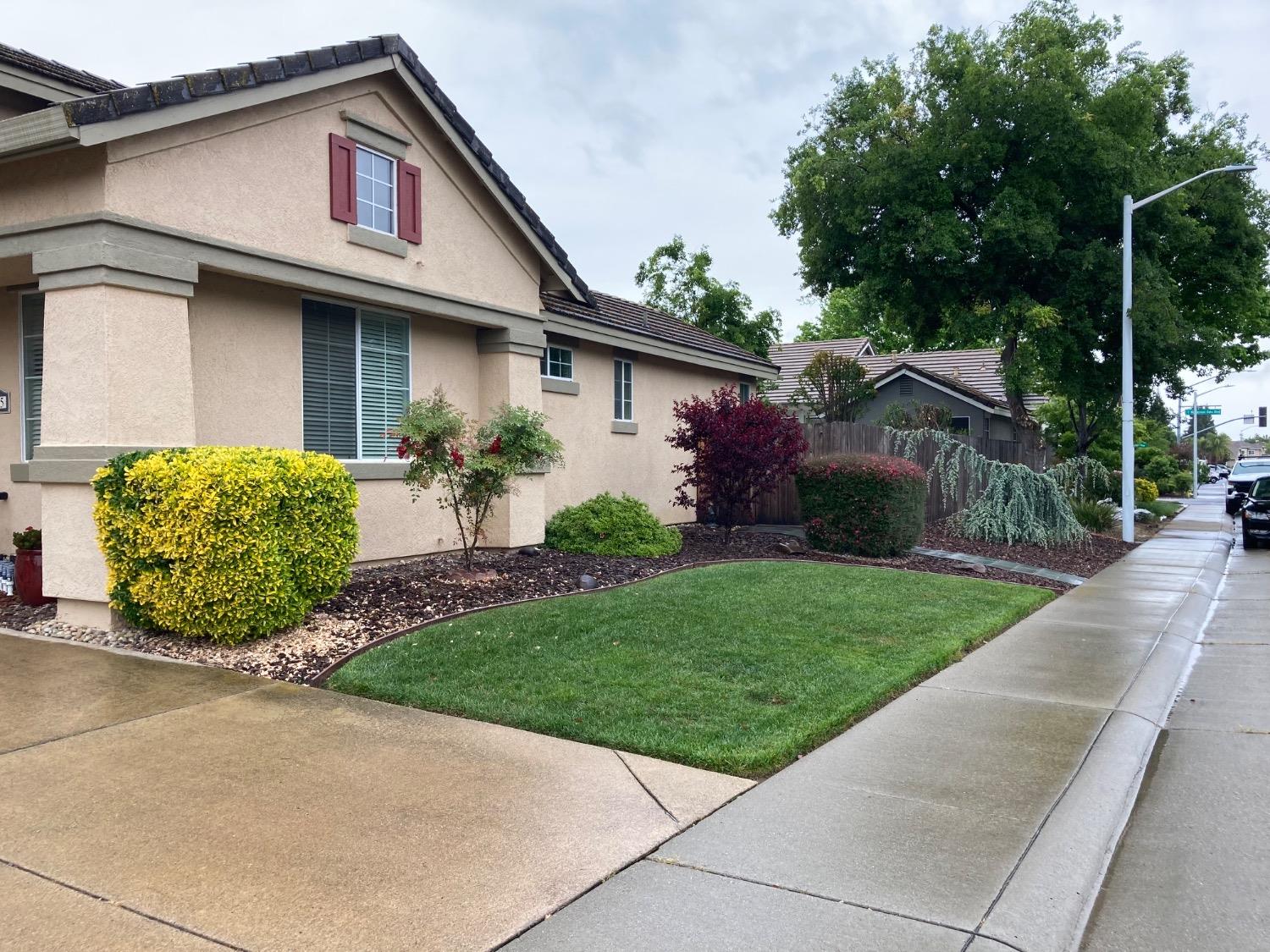 Alpine View Drive, Roseville, California image 4