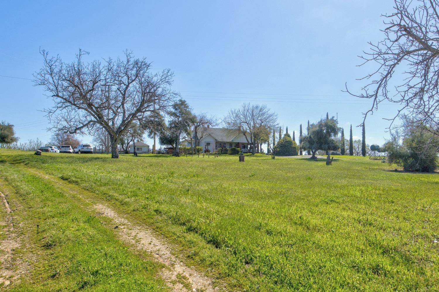 Detail Gallery Image 50 of 87 For 20865 Shenandoah School Rd, Plymouth,  CA 95669 - 5 Beds | 1 Baths