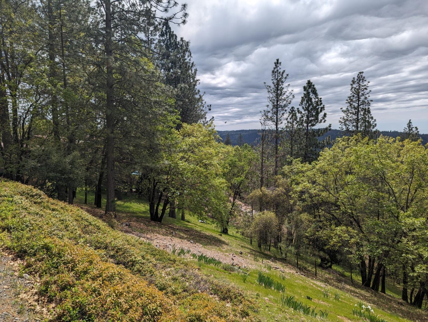 Longridge Court, Foresthill, California image 26