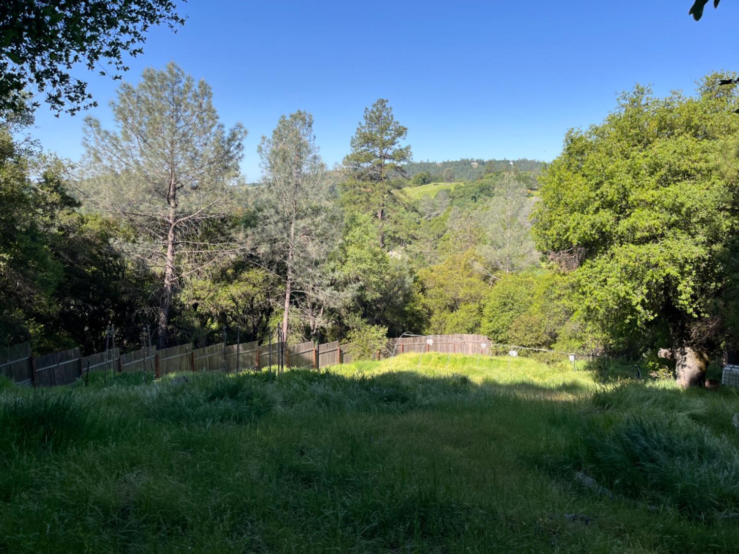 Moroni Lane, Grass Valley, California image 27