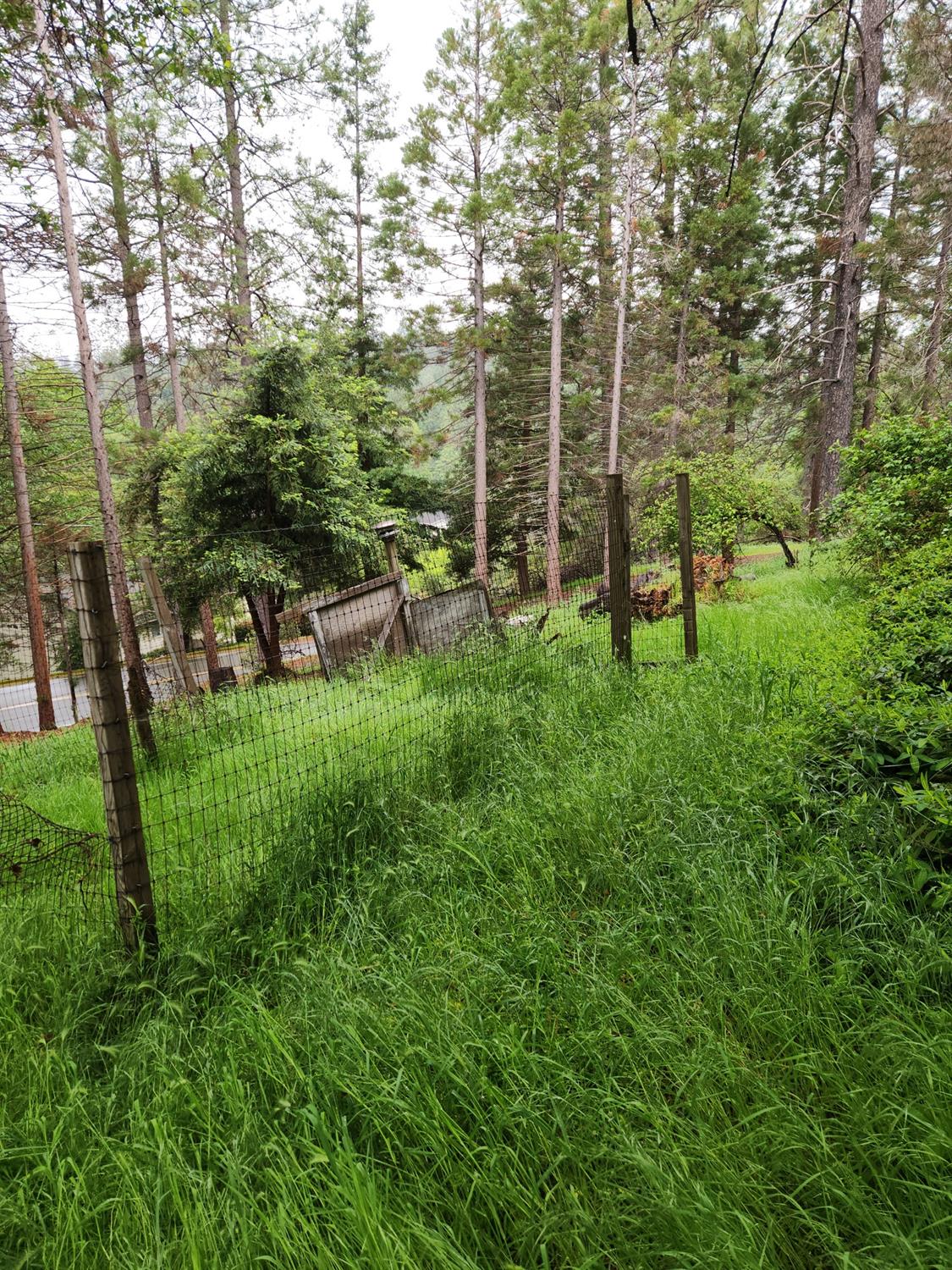 Patricia Way, Grass Valley, California image 28