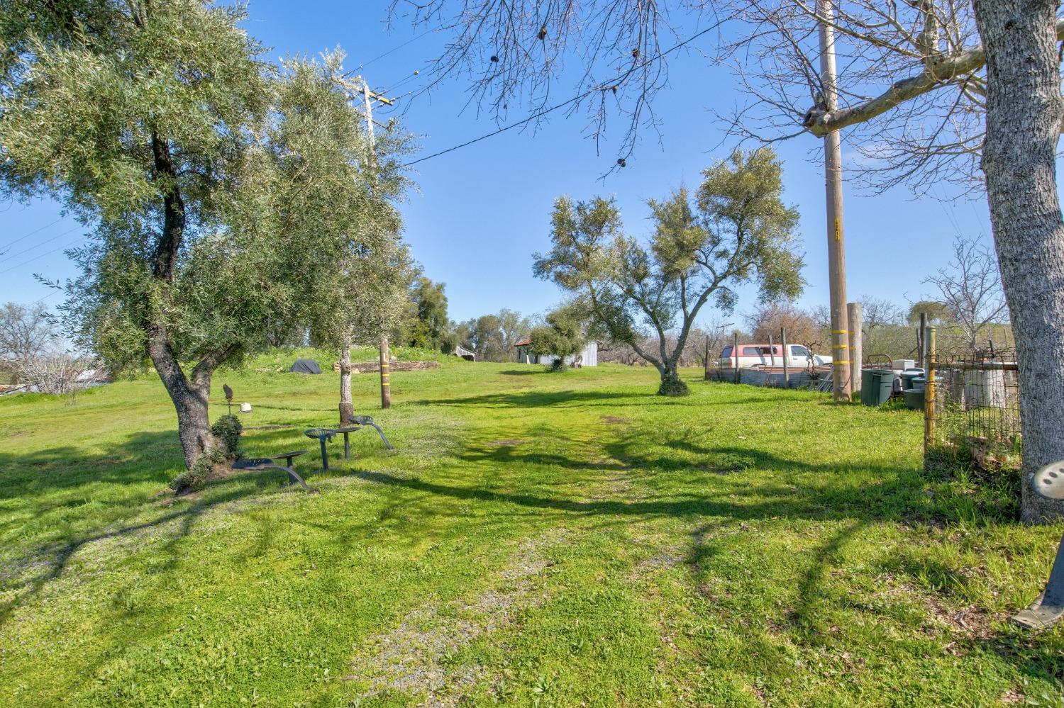 Detail Gallery Image 42 of 87 For 20865 Shenandoah School Rd, Plymouth,  CA 95669 - 5 Beds | 1 Baths