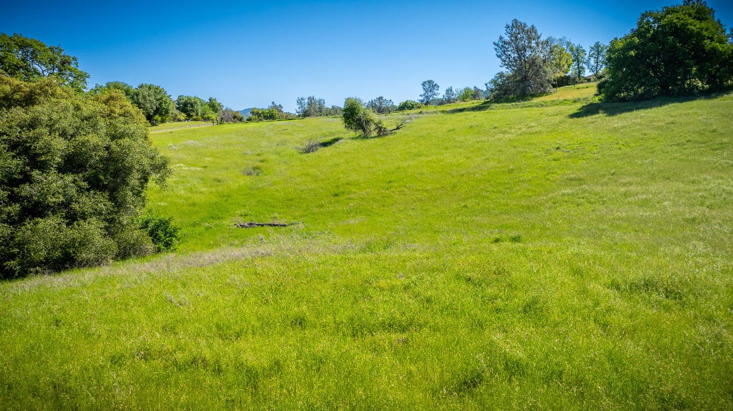 Sunshine Lane, Mokelumne Hill, California image 35