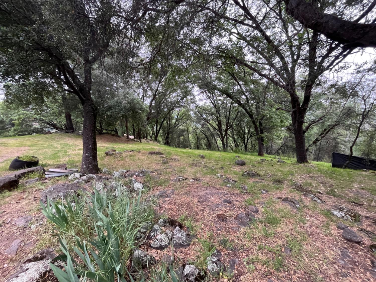 Moroni Lane, Grass Valley, California image 29
