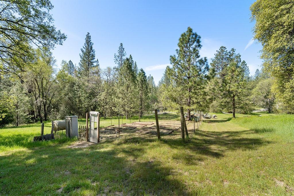 Horseshoe Bend Road, Somerset, California image 45