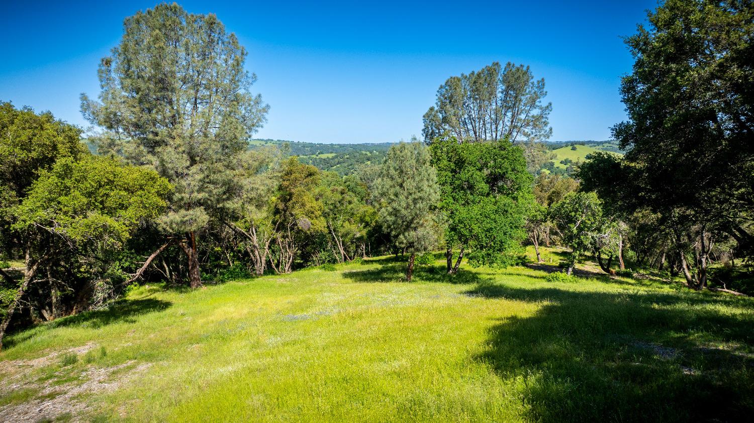 Sunshine Lane, Mokelumne Hill, California image 21