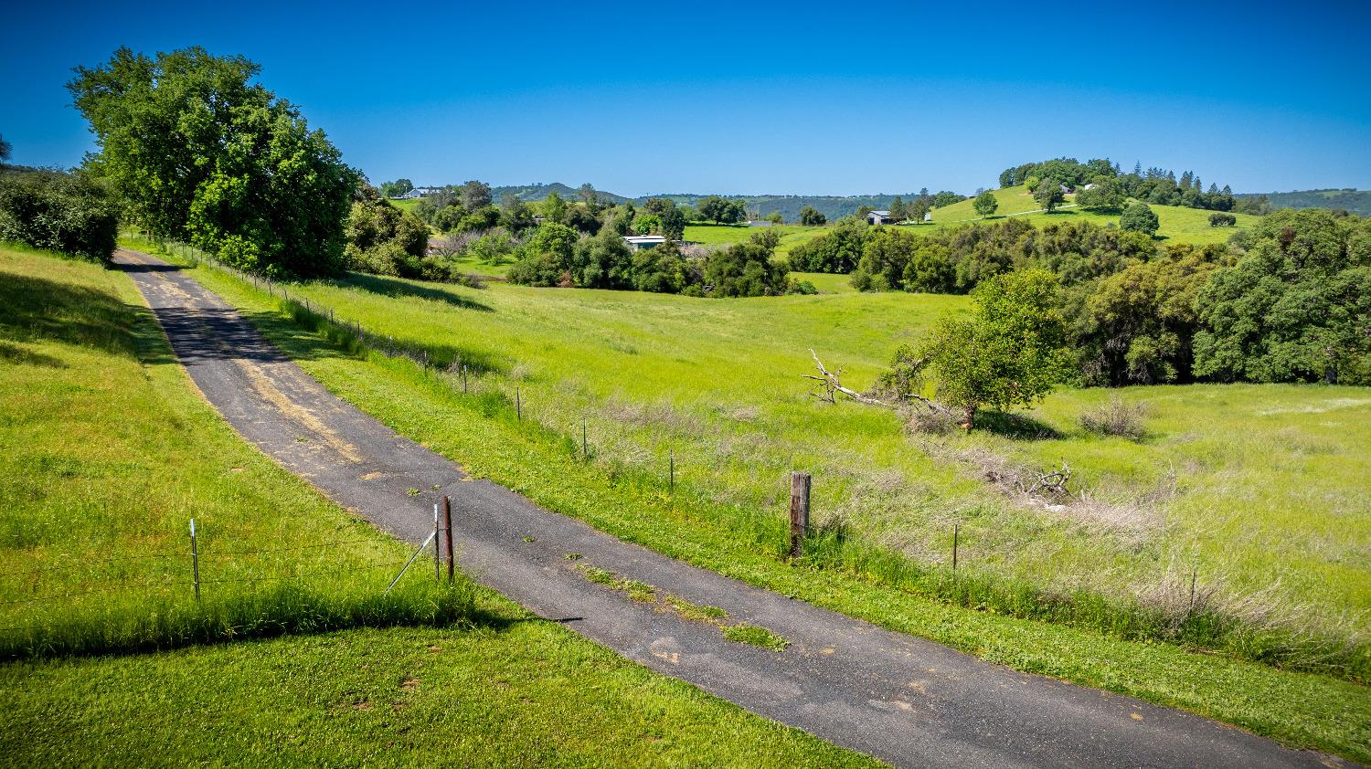 Sunshine Lane, Mokelumne Hill, California image 39