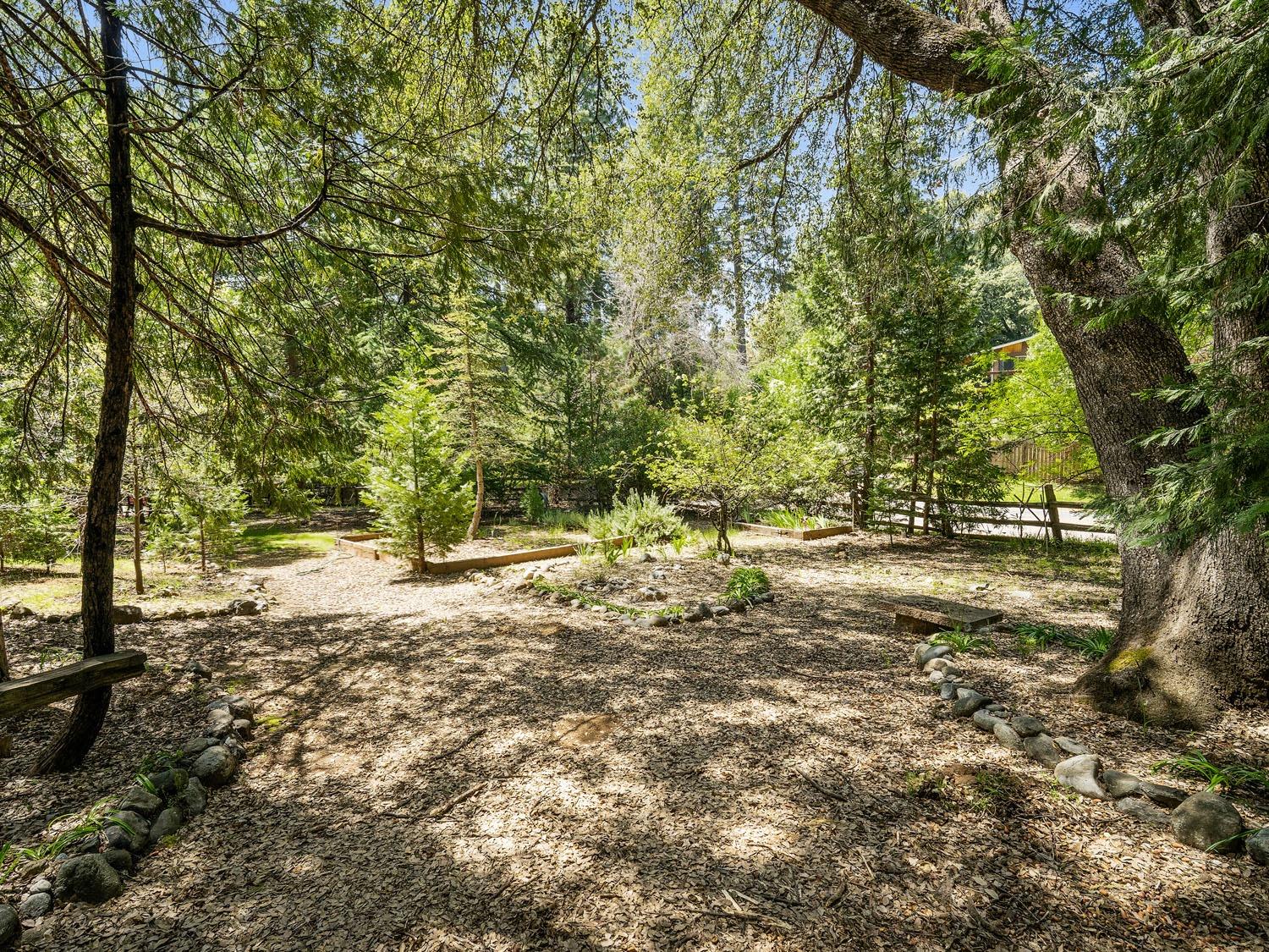 Van De Hei Ranch Road, Pioneer, California image 27