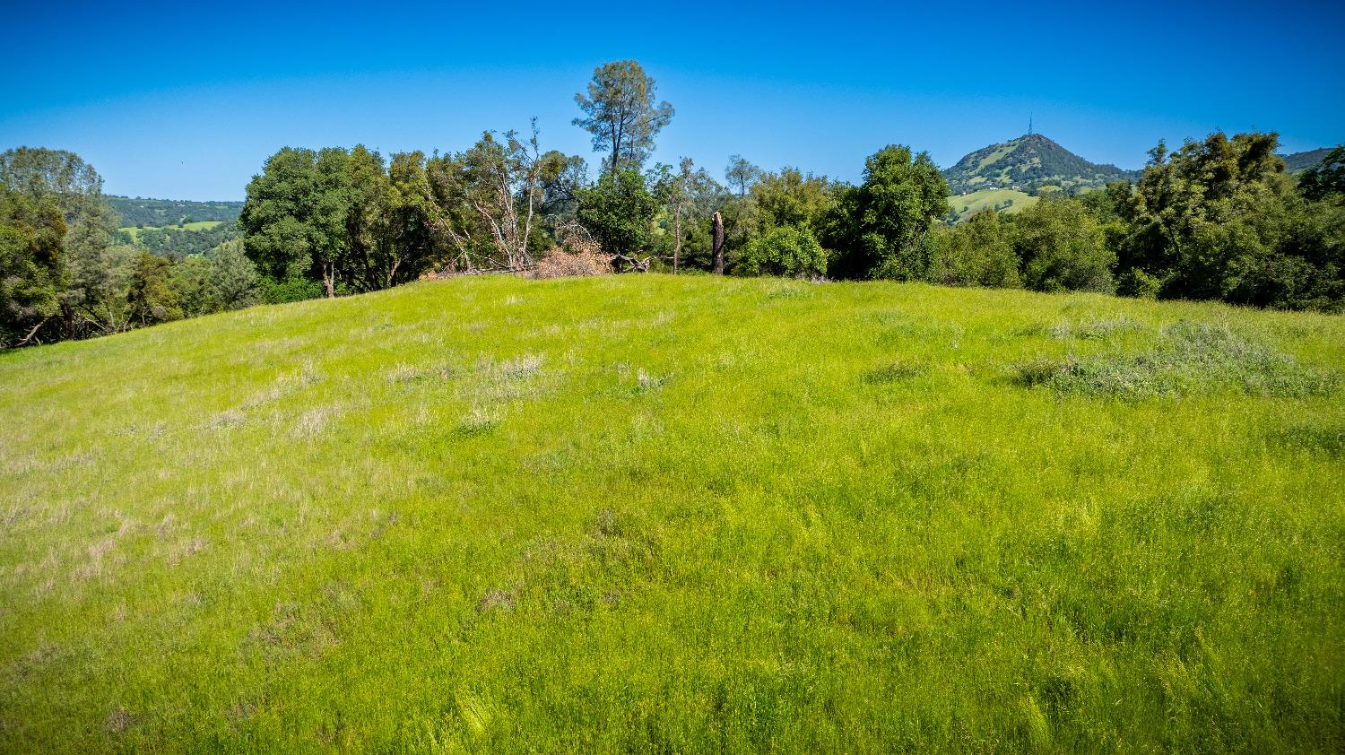 Sunshine Lane, Mokelumne Hill, California image 19