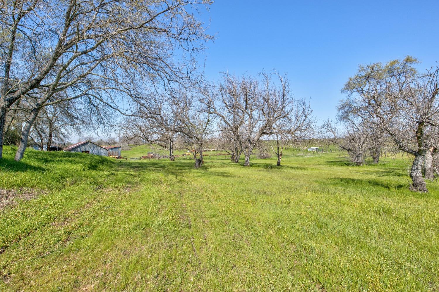 Detail Gallery Image 49 of 87 For 20865 Shenandoah School Rd, Plymouth,  CA 95669 - 5 Beds | 1 Baths