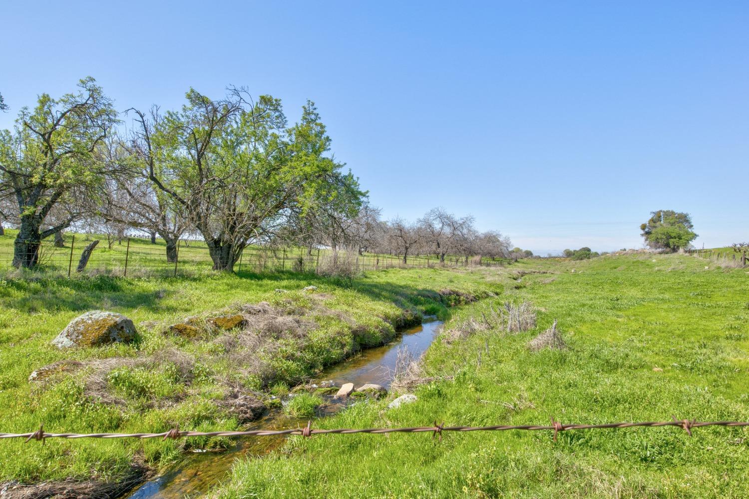 Detail Gallery Image 5 of 87 For 20865 Shenandoah School Rd, Plymouth,  CA 95669 - 5 Beds | 1 Baths