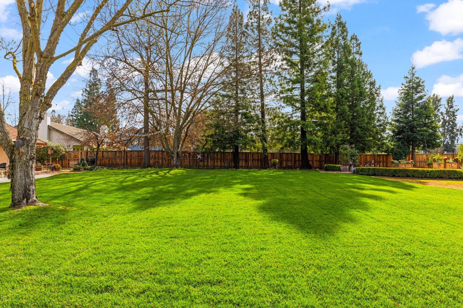 Cavalletti Drive, Sacramento, California image 48