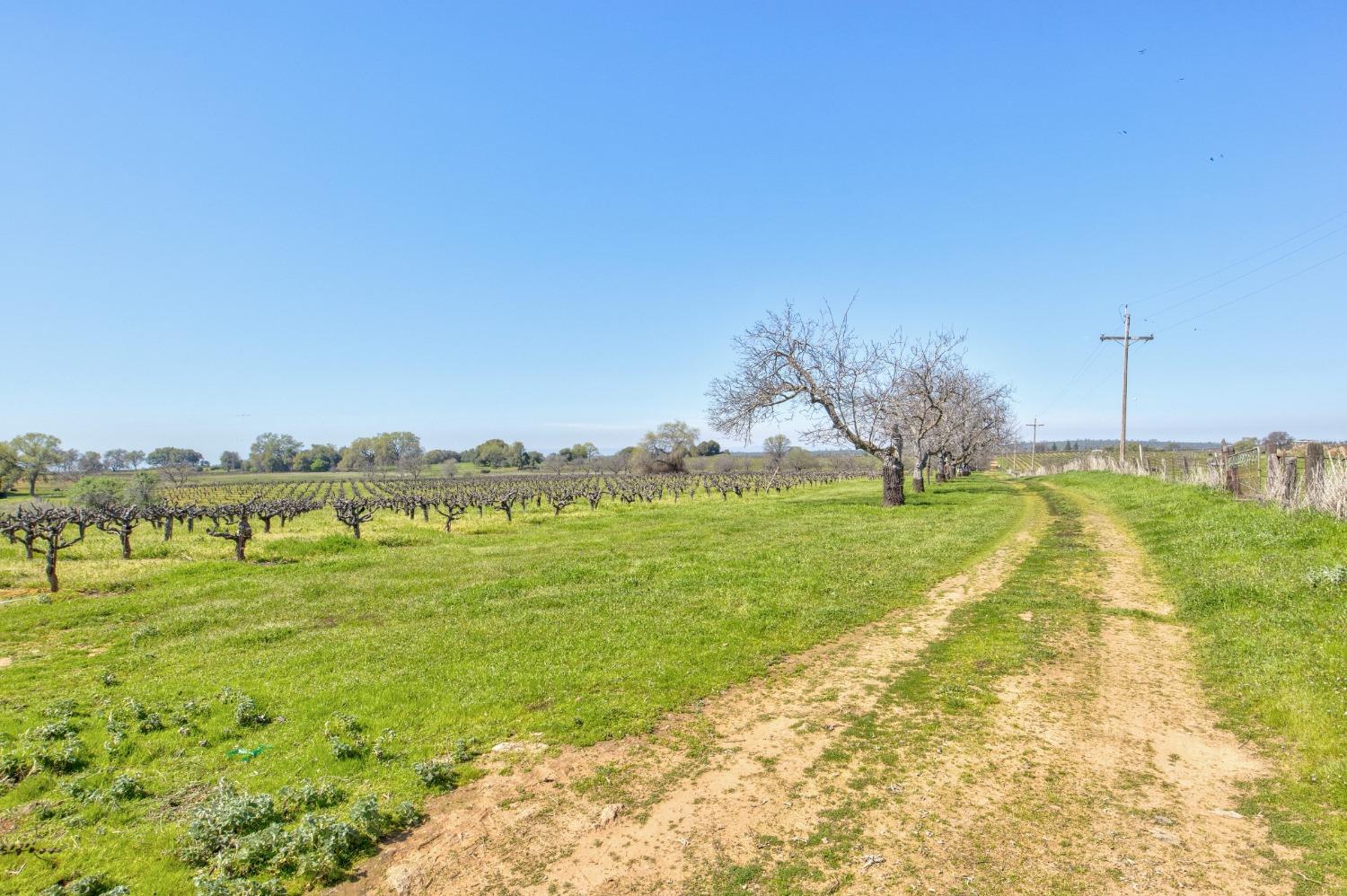 Detail Gallery Image 57 of 87 For 20865 Shenandoah School Rd, Plymouth,  CA 95669 - 5 Beds | 1 Baths