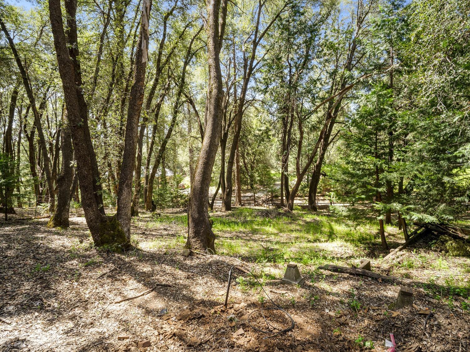 Van De Hei Ranch Road, Pioneer, California image 3