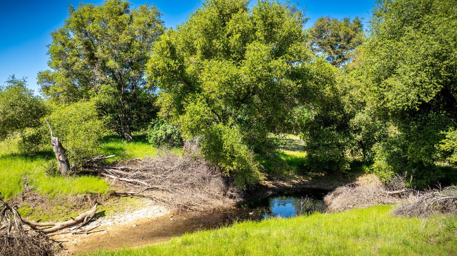 Sunshine Lane, Mokelumne Hill, California image 28
