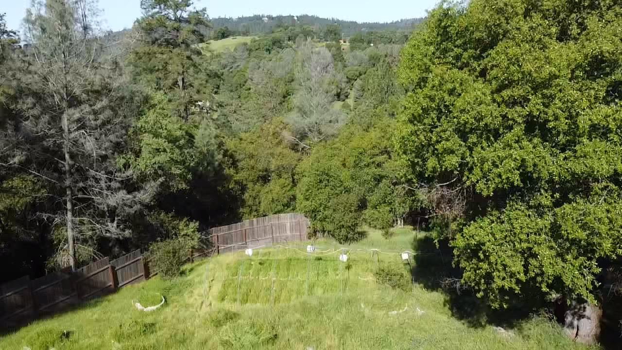 Moroni Lane, Grass Valley, California image 35