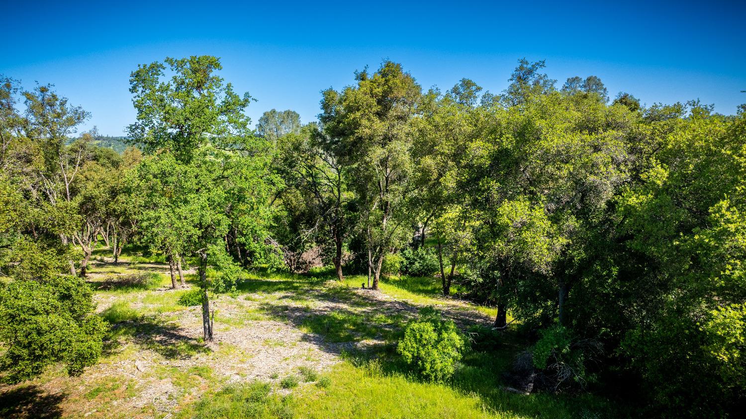 Sunshine Lane, Mokelumne Hill, California image 32