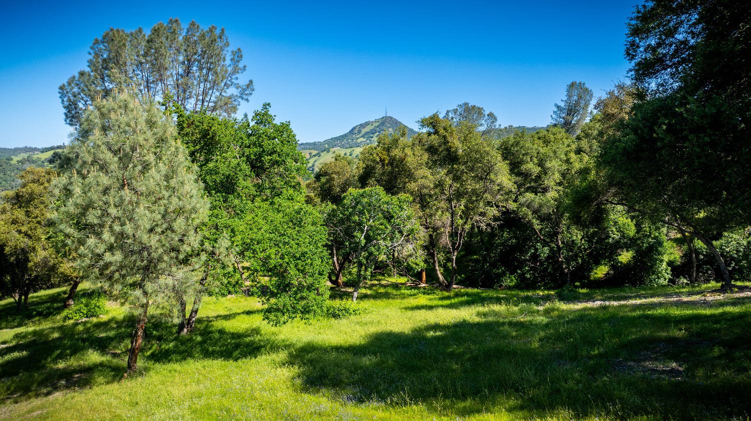 Sunshine Lane, Mokelumne Hill, California image 22