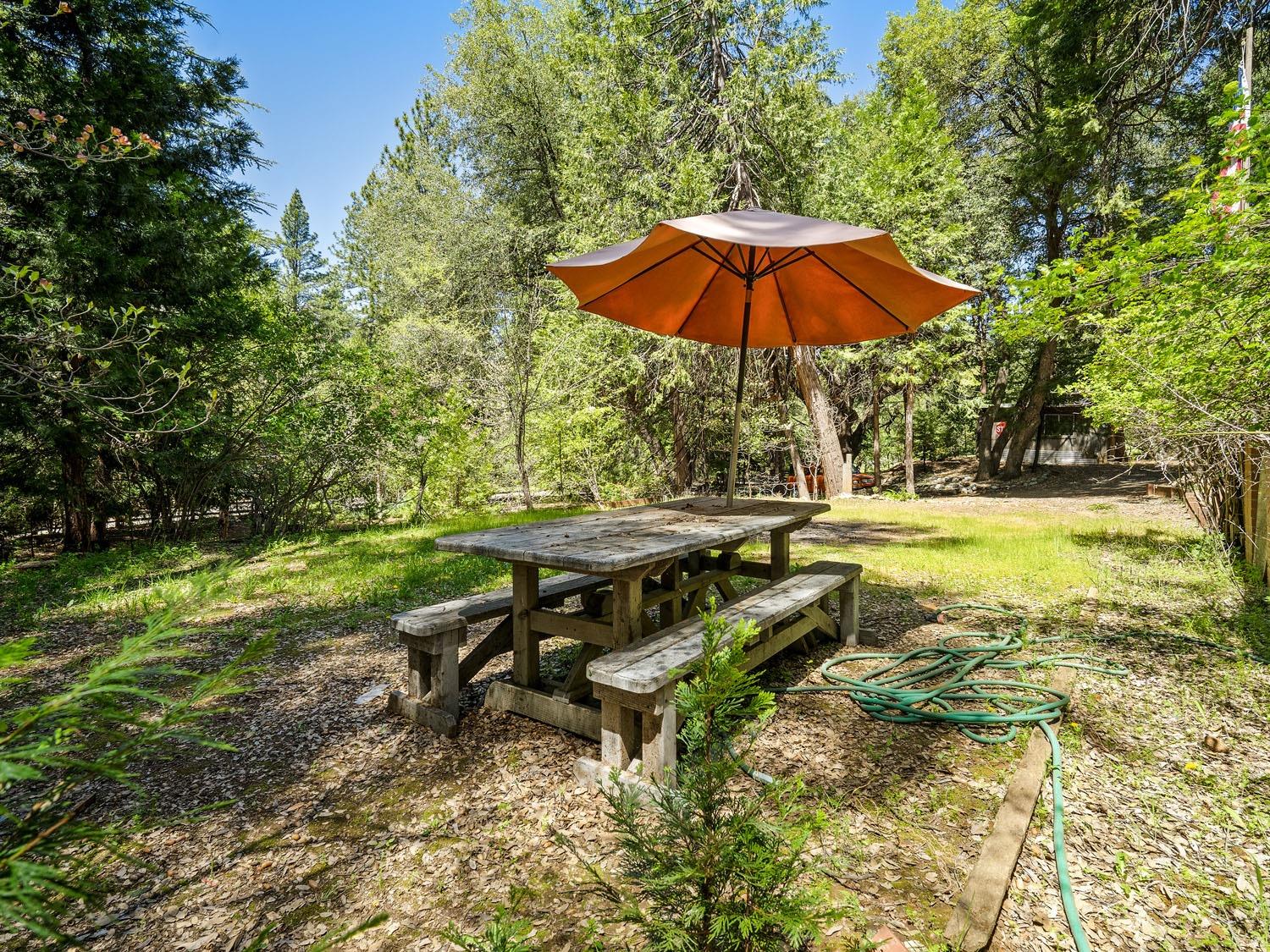 Van De Hei Ranch Road, Pioneer, California image 22