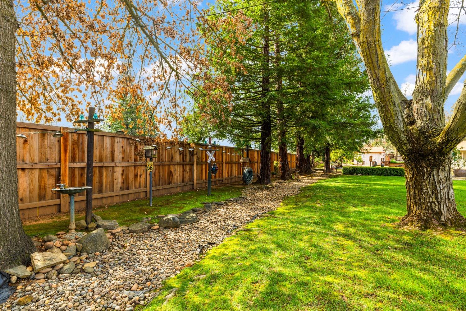 Cavalletti Drive, Sacramento, California image 42