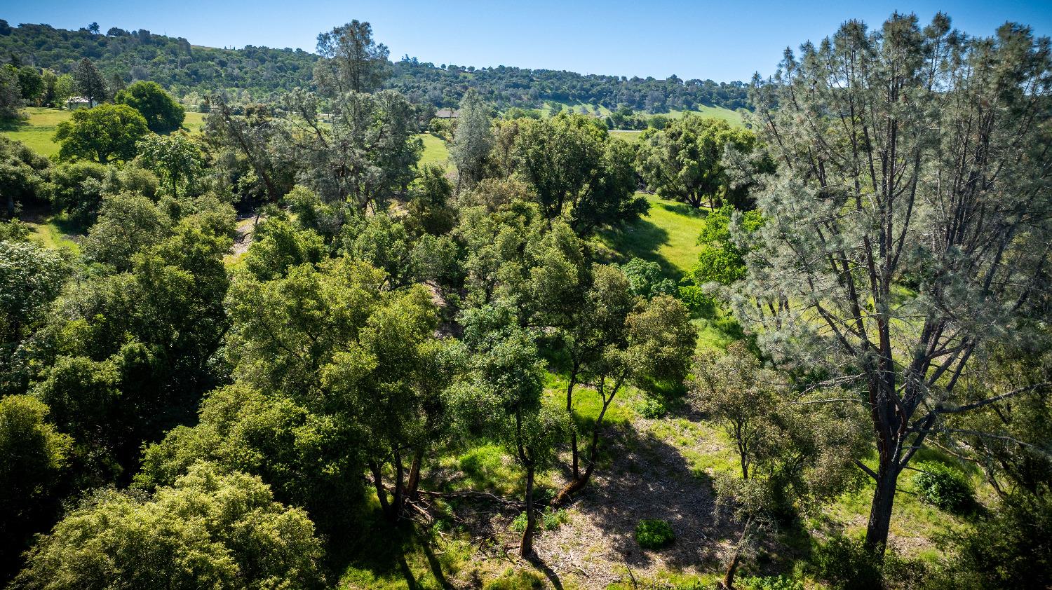 Sunshine Lane, Mokelumne Hill, California image 23