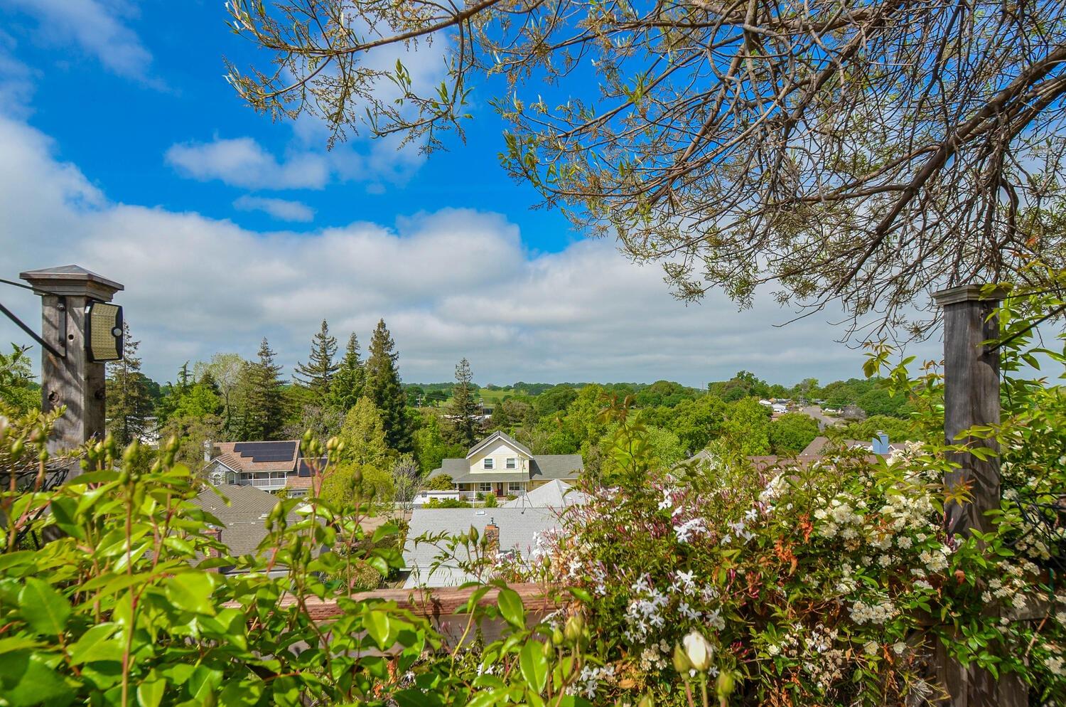 Mesa De Oro Circle, Sutter Creek, California image 23
