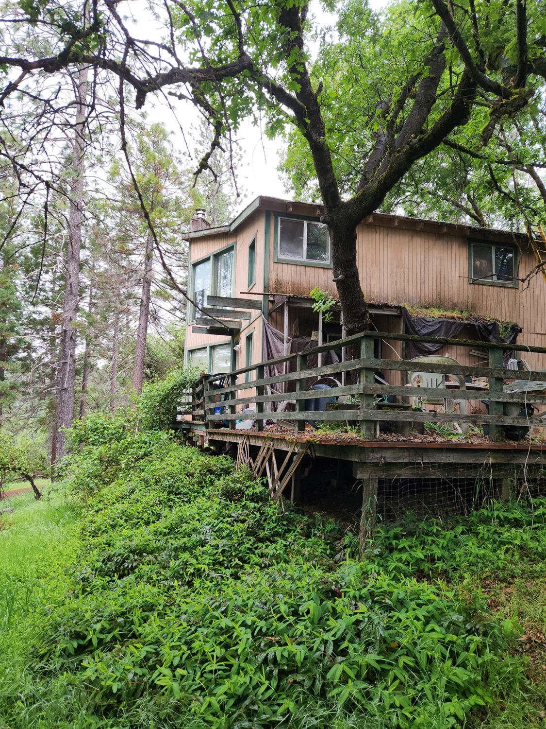 Patricia Way, Grass Valley, California image 27