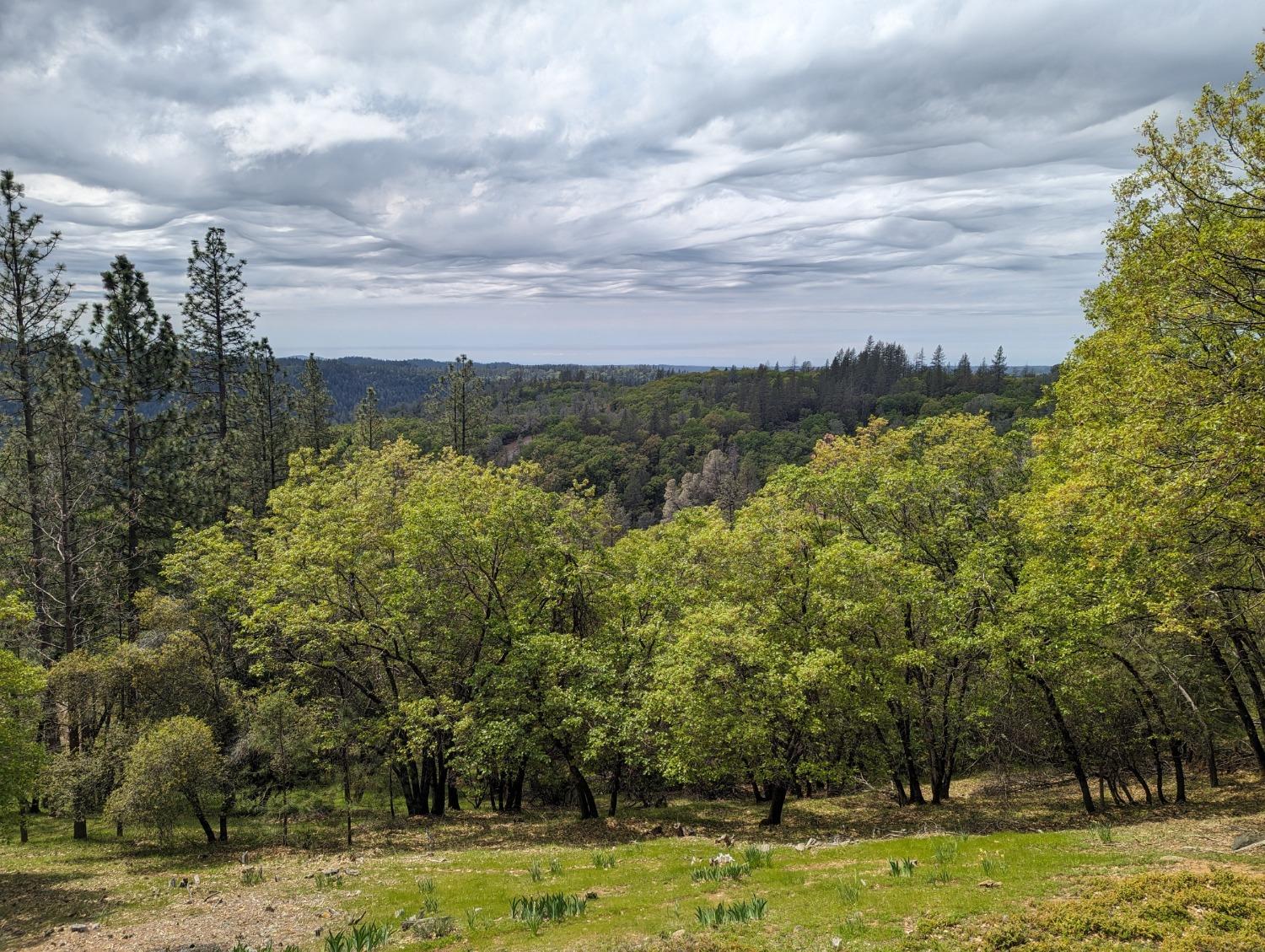 Longridge Court, Foresthill, California image 22