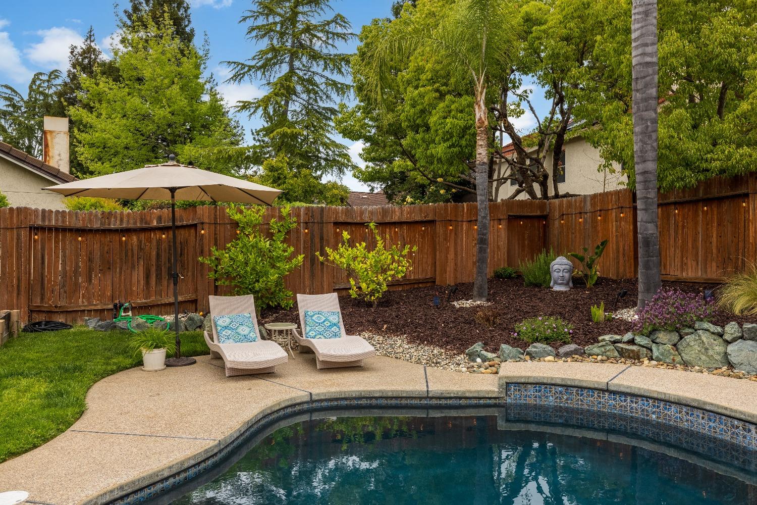 Thorndike Way, Folsom, California image 38