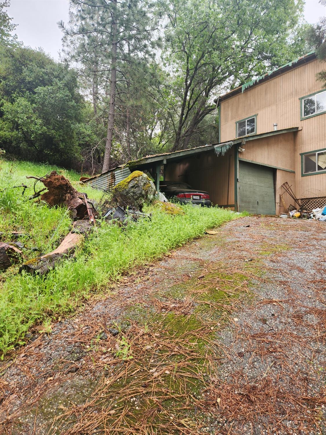 Patricia Way, Grass Valley, California image 9