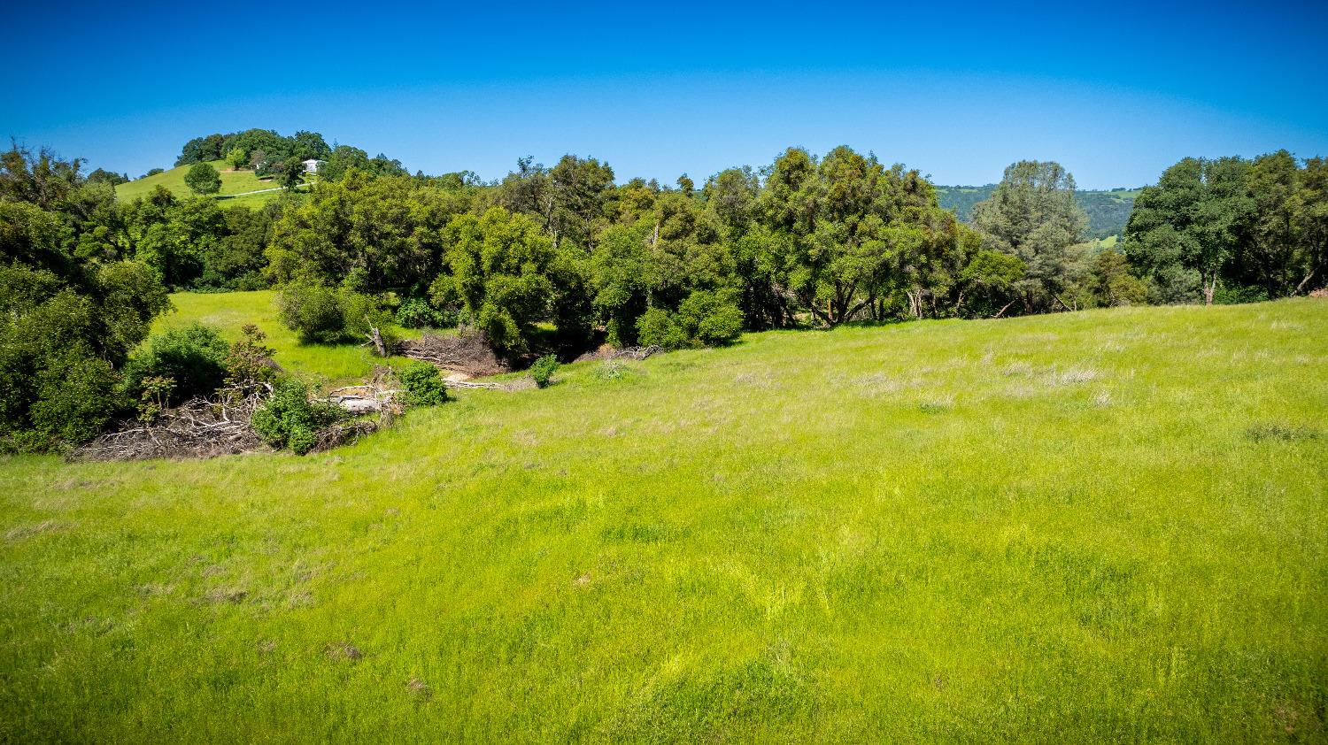Sunshine Lane, Mokelumne Hill, California image 18