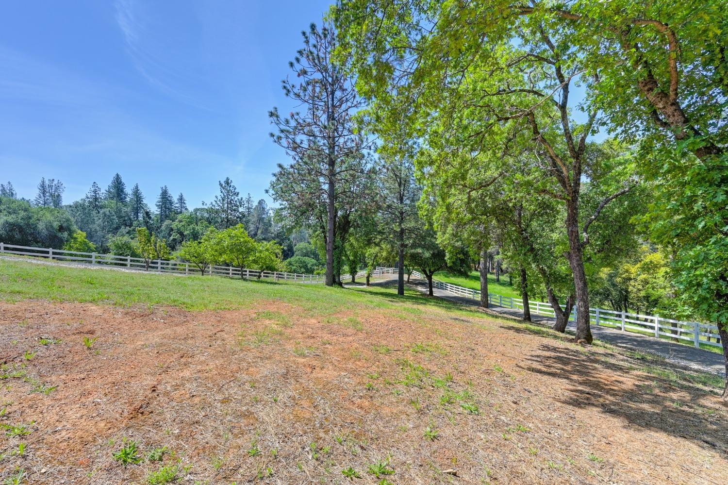 Detail Gallery Image 53 of 73 For 285 Fairidge Dr, Applegate,  CA 95703 - 4 Beds | 2/1 Baths