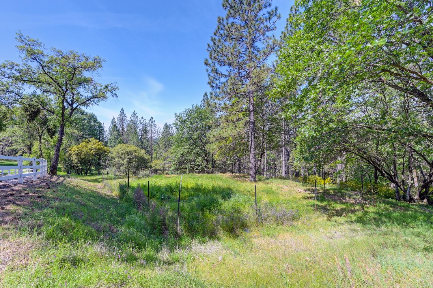 Detail Gallery Image 57 of 73 For 285 Fairidge Dr, Applegate,  CA 95703 - 4 Beds | 2/1 Baths